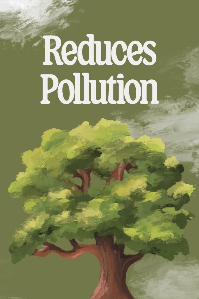 Reduces pollution